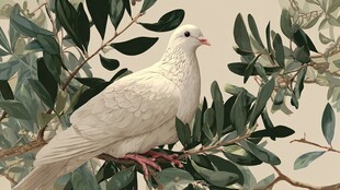 枝头白鸽栖于绿叶间