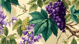 葡萄紫藤花卉植物图案