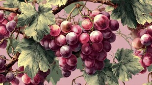 复古风葡萄藤叶图案插画