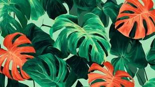 热带植物叶子的绚丽图案