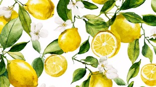 水彩绘柠檬枝叶花卉图案