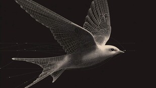 线框风格飞翔的灵动鸟儿