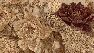 刺绣孔雀牡丹精美图案