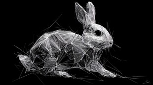 线条勾勒的立体兔子形象