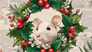 圣诞花环中的可爱小白鼠