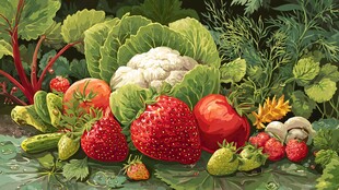 多彩新鲜蔬果大集合