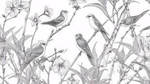 花鸟黑白插画图