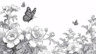 蝴蝶戏牡丹黑白插画
