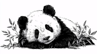 黑白熊猫卧于竹叶间