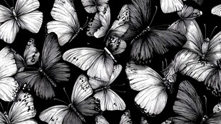 黑白蝴蝶图案设计素材