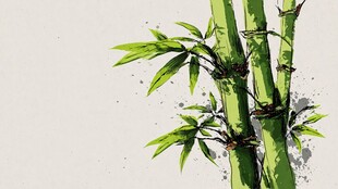 水墨风翠绿竹子插画