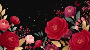 绚丽花卉装点黑色背景