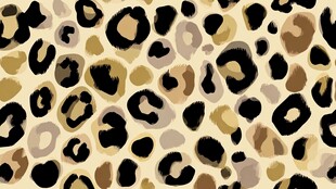 豹纹图案背景纹理