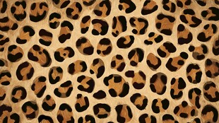 豹纹图案背景纹理