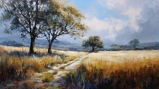 田野间的静谧小路与树木