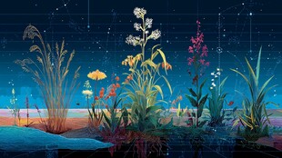 夜下花草景观图