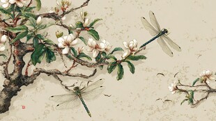 水墨花枝蜻蜓图