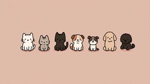 一排萌宠小可爱