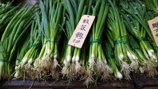 新鲜小葱待售 标签醒目