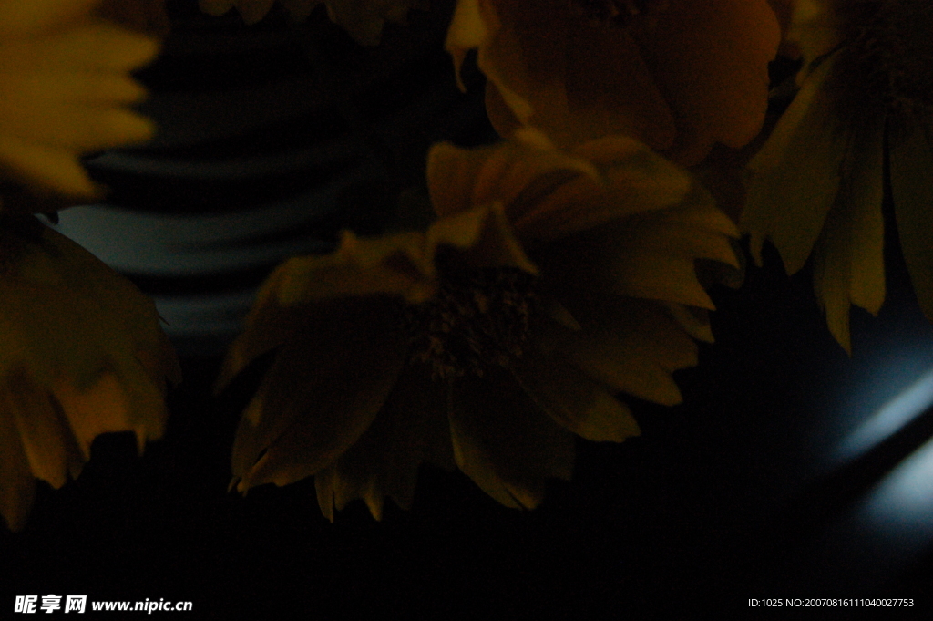 蝴蝶花，紫色记忆