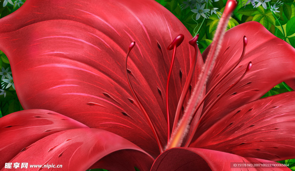 高分辨率花朵特写分层psd