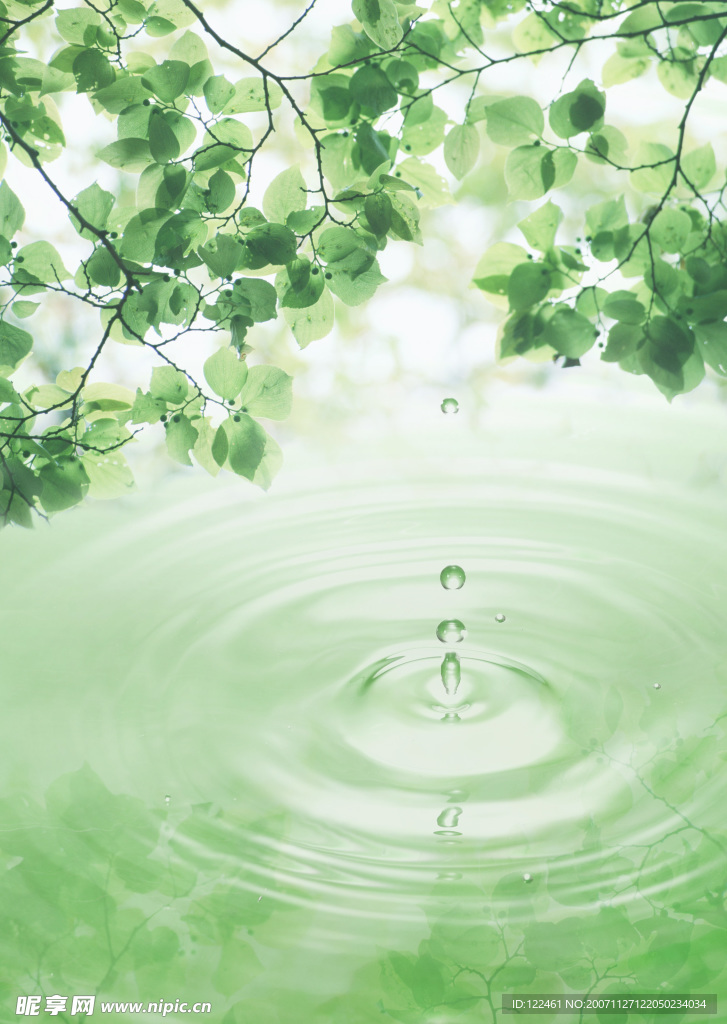 2094X2950高质量绿色水滴