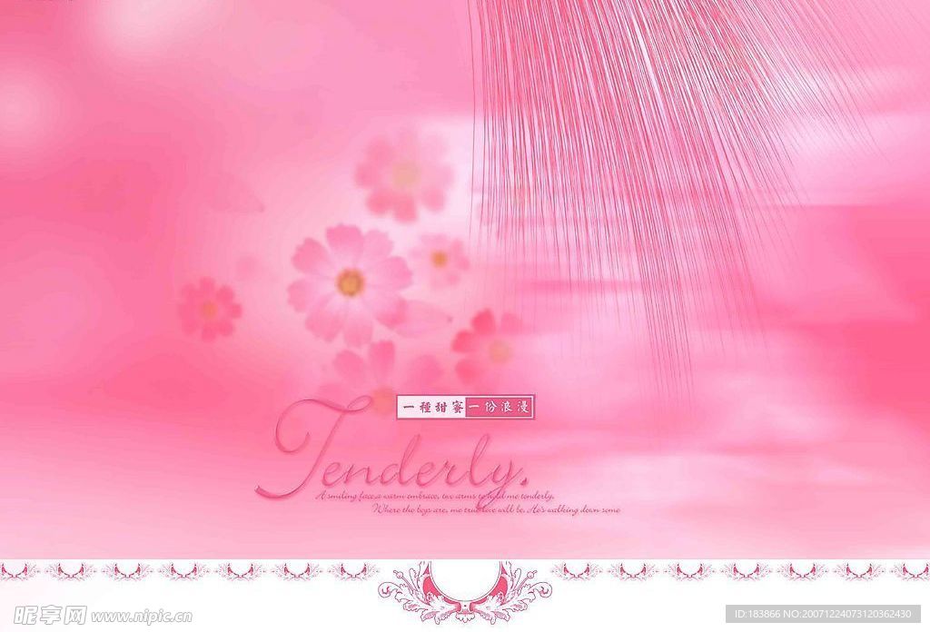 婚纱 psd素材  模板