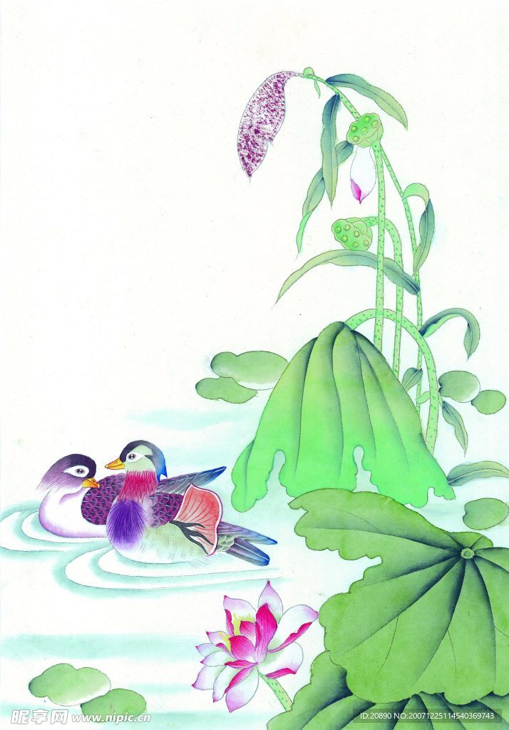 荷花鸳鸯戏水