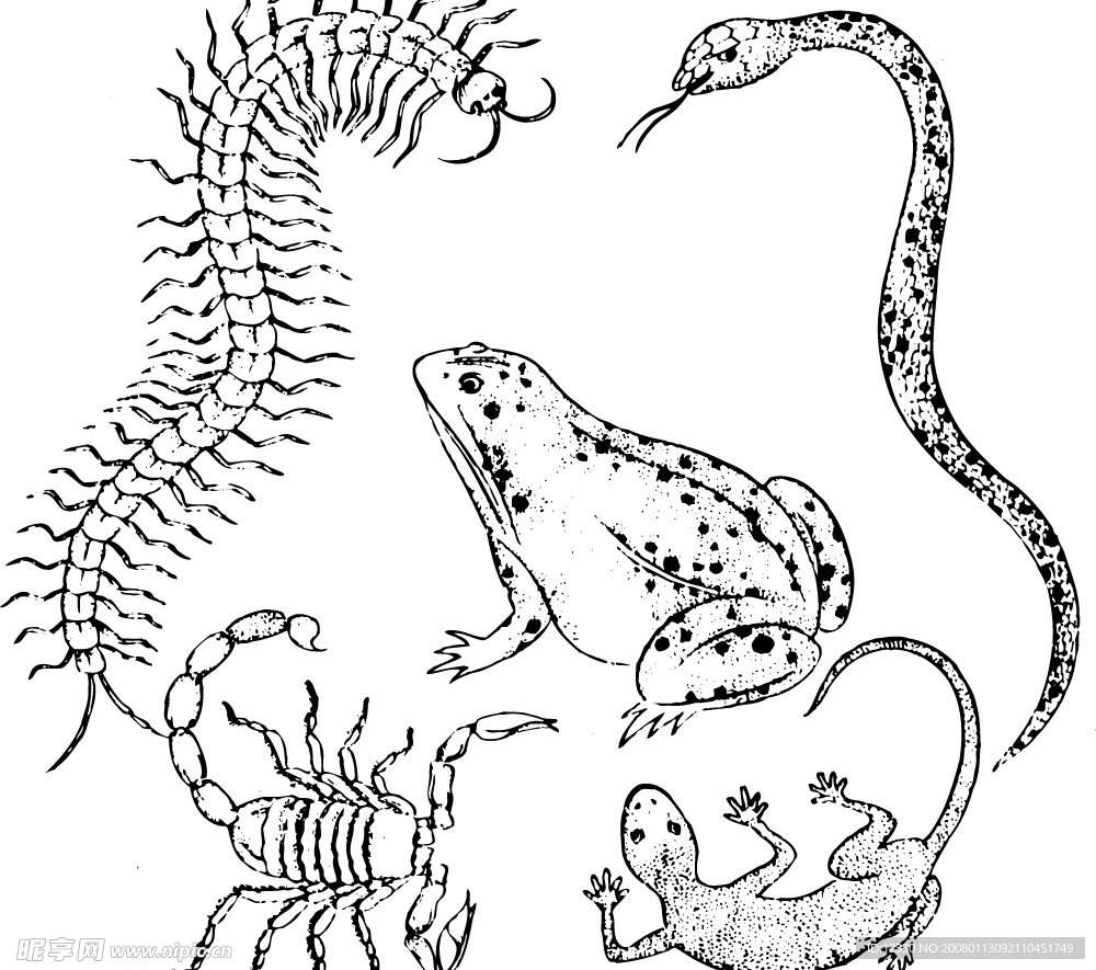 中国传统图案10