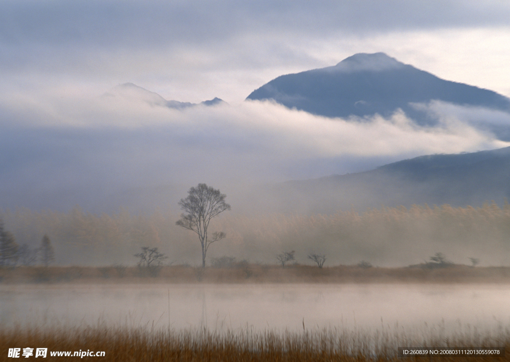 漂亮的山水剪影
