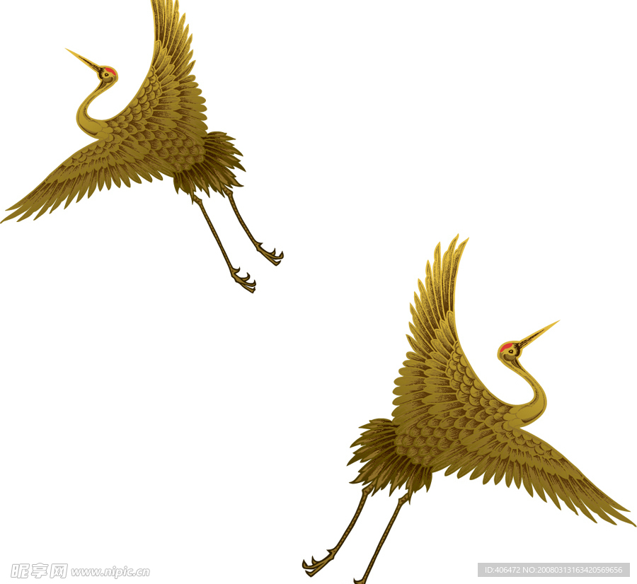 金鹤矢量素材