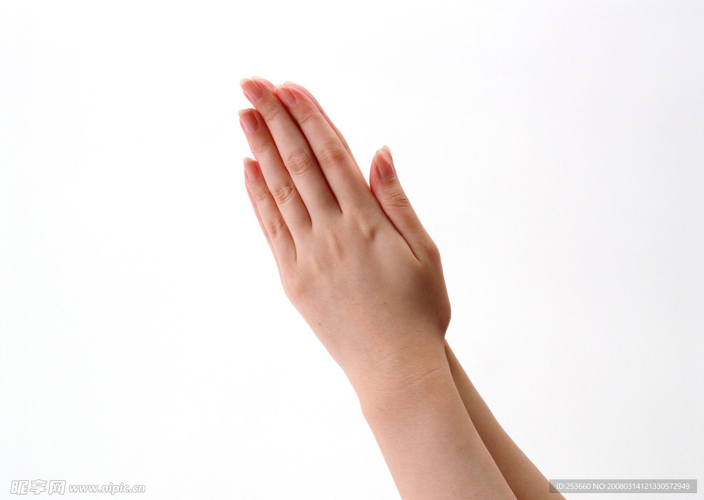 手 手的表情 手势 手的姿势