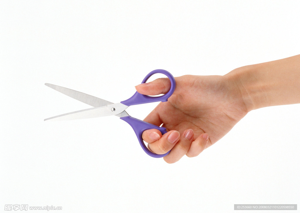 手 手的表情 手势 手的姿势 剪刀