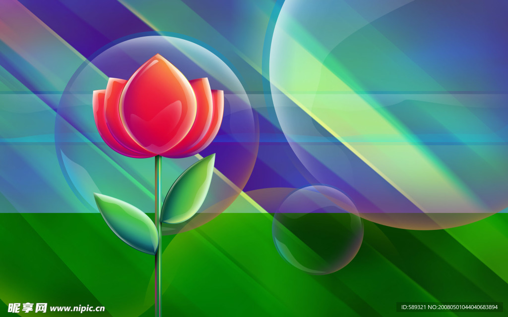 Ps花卉欣赏宽屏壁纸 4幅