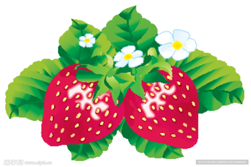 精美矢量草莓