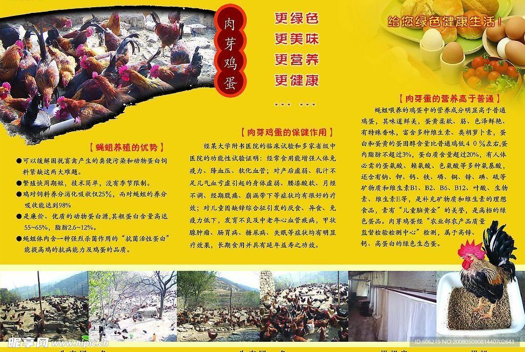 鸡蛋三折页设计图片