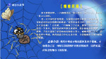 蜘蛛织网