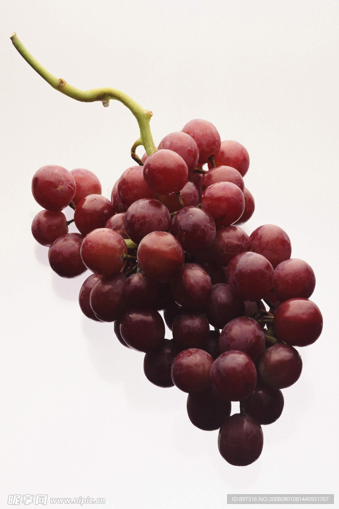 葡萄