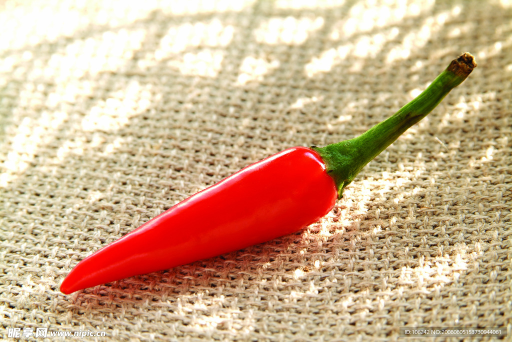 红辣椒