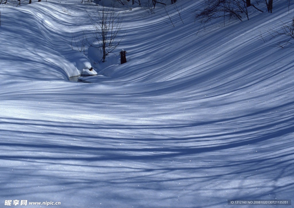雪景