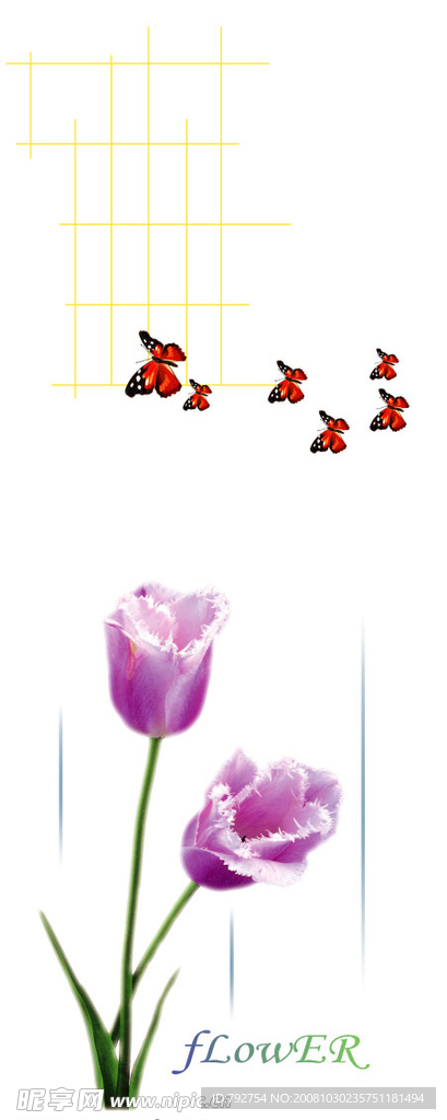 郁金香 蝴蝶 移门