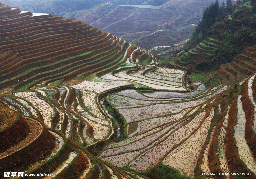 龙脊梯田