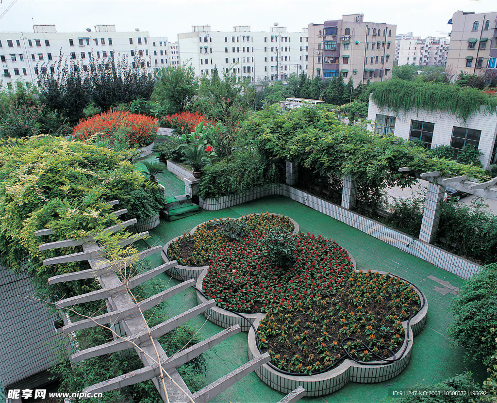 花坛 树木 天空 城市 房子 后院