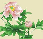 矢量手绘牡丹花