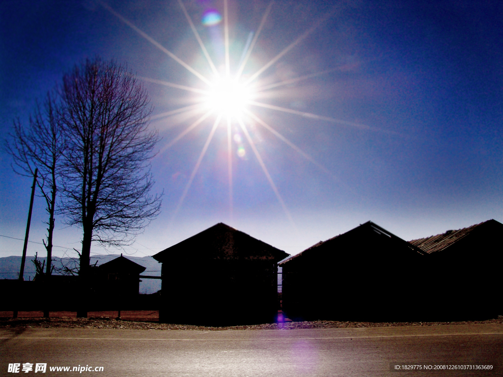 驶向香格里拉阳光