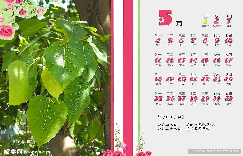 菩提叶  2009年月历