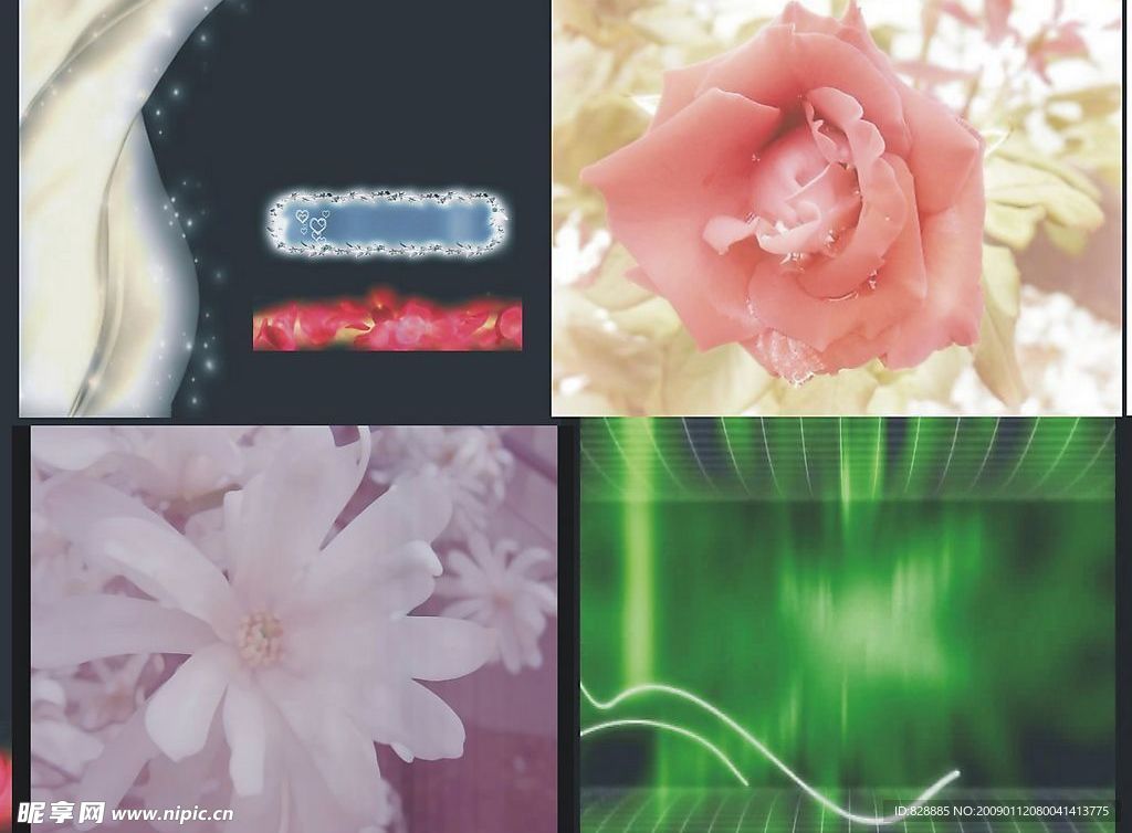 婚庆生日背景系列 视频素材