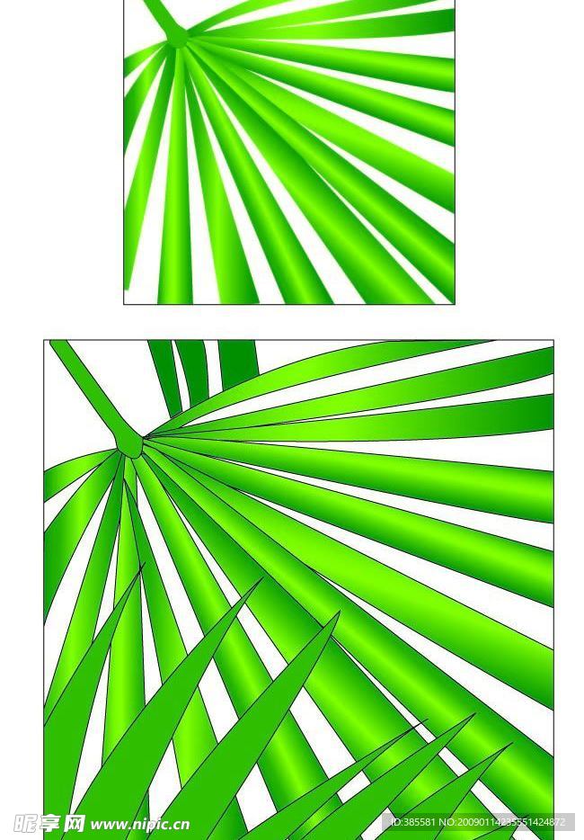 棕榈叶矢量图AI格式