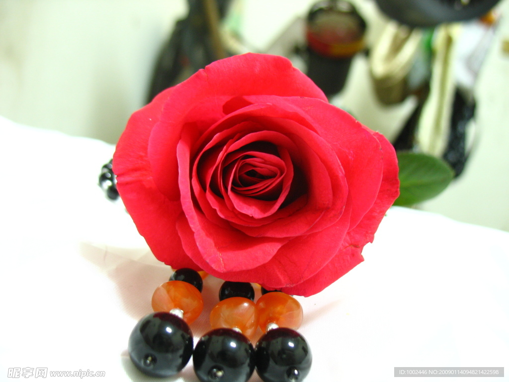 红玫瑰与玛瑙石