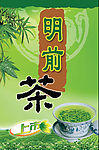明前茶上市海报 茶叶店海报招贴广告设计模板